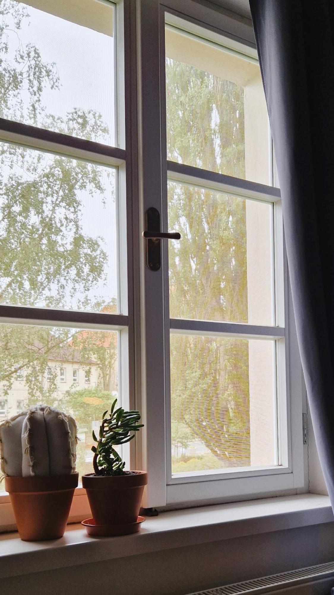 Apartmany Vcelin Brniste Esterno foto